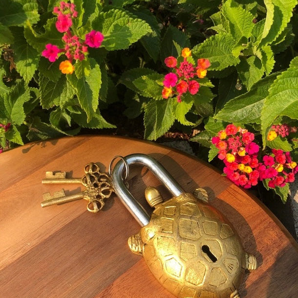 Tortoise-shaped padlock and keys on a wooden surface with flowers in the background