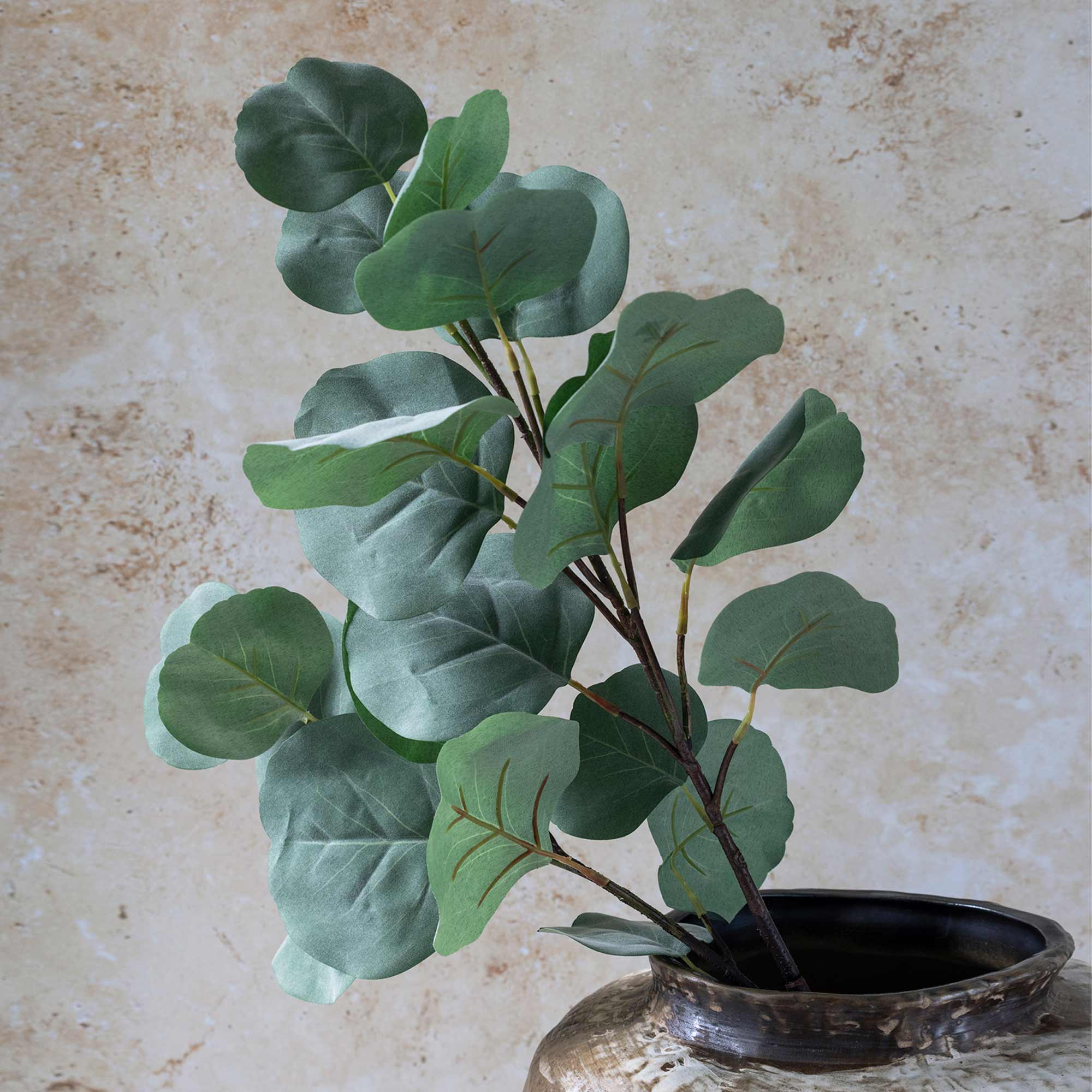 Eucalyptus Silver Dollar Branch