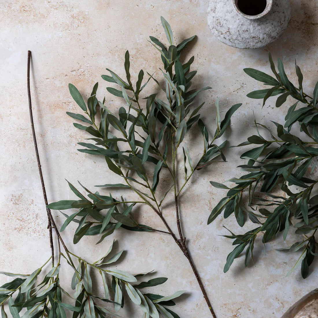 Olive Branch