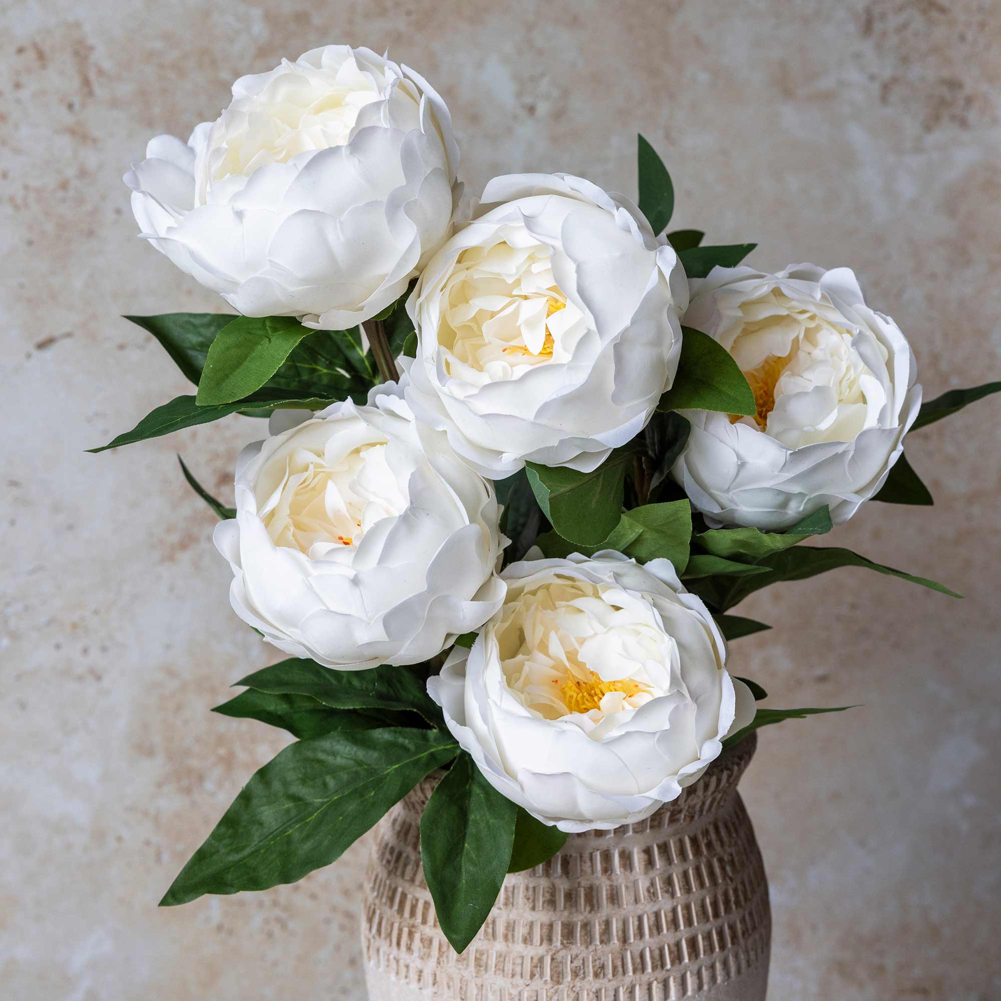 White Peony