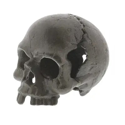 Cast Iron Skull