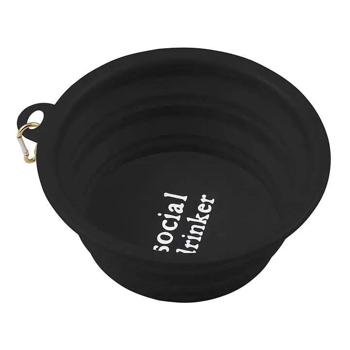 Collapsible Bowl - Large