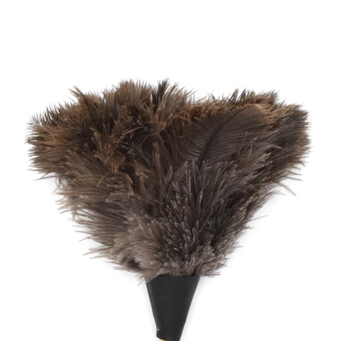 Feathered object with brown feathers on a white background