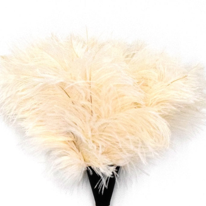 Beige feathered headpiece on a white background