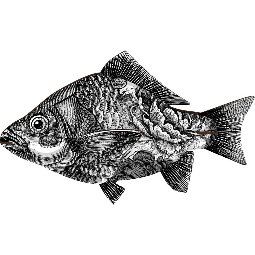 Decorative Fish