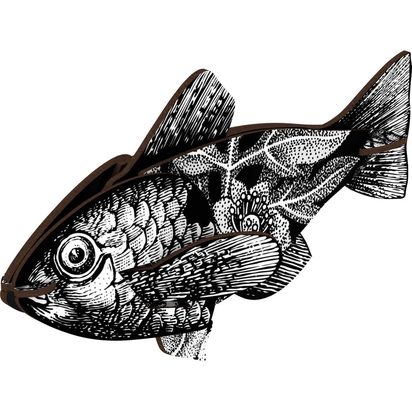Decorative Fish