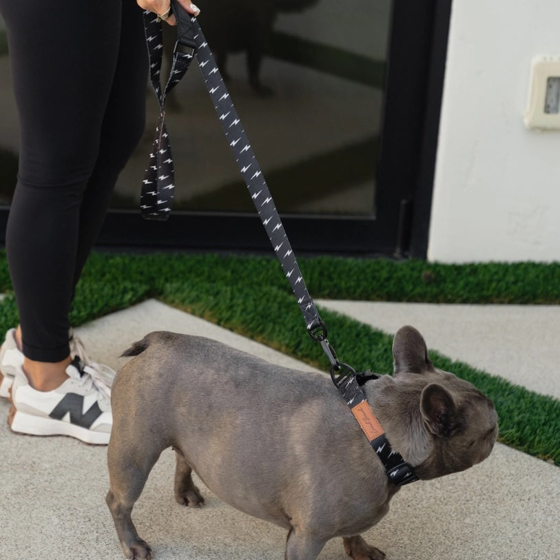 Lightning Bolt Dog Leash
