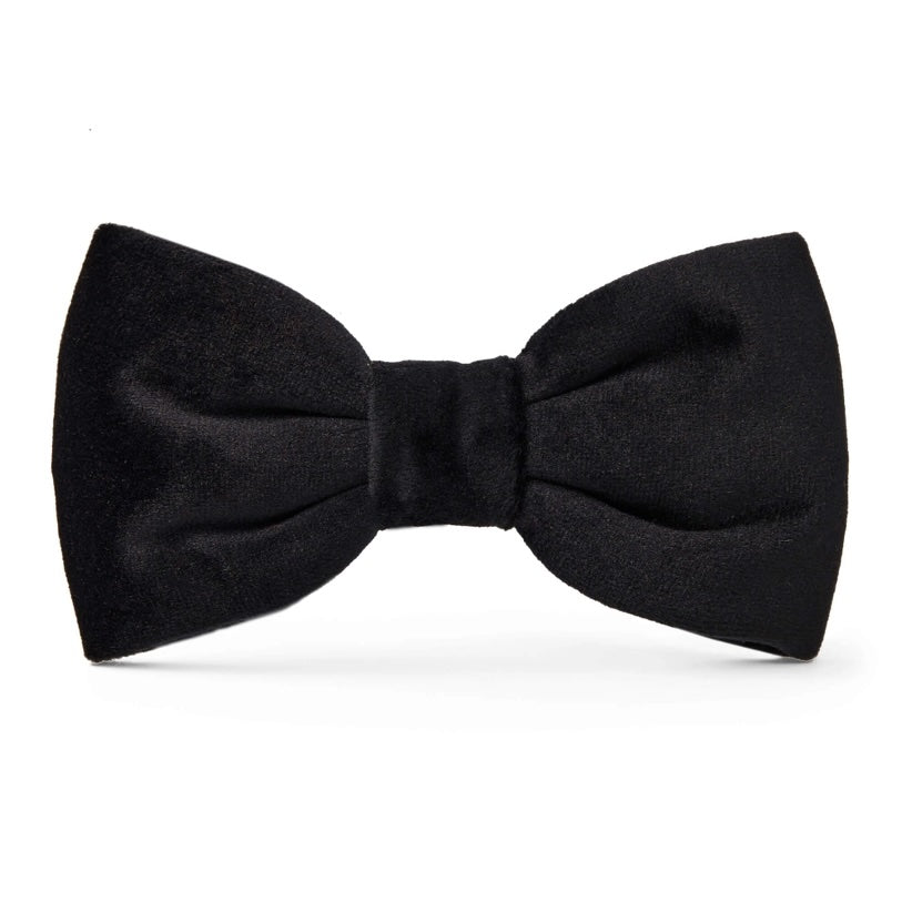 Black bow tie on a white background