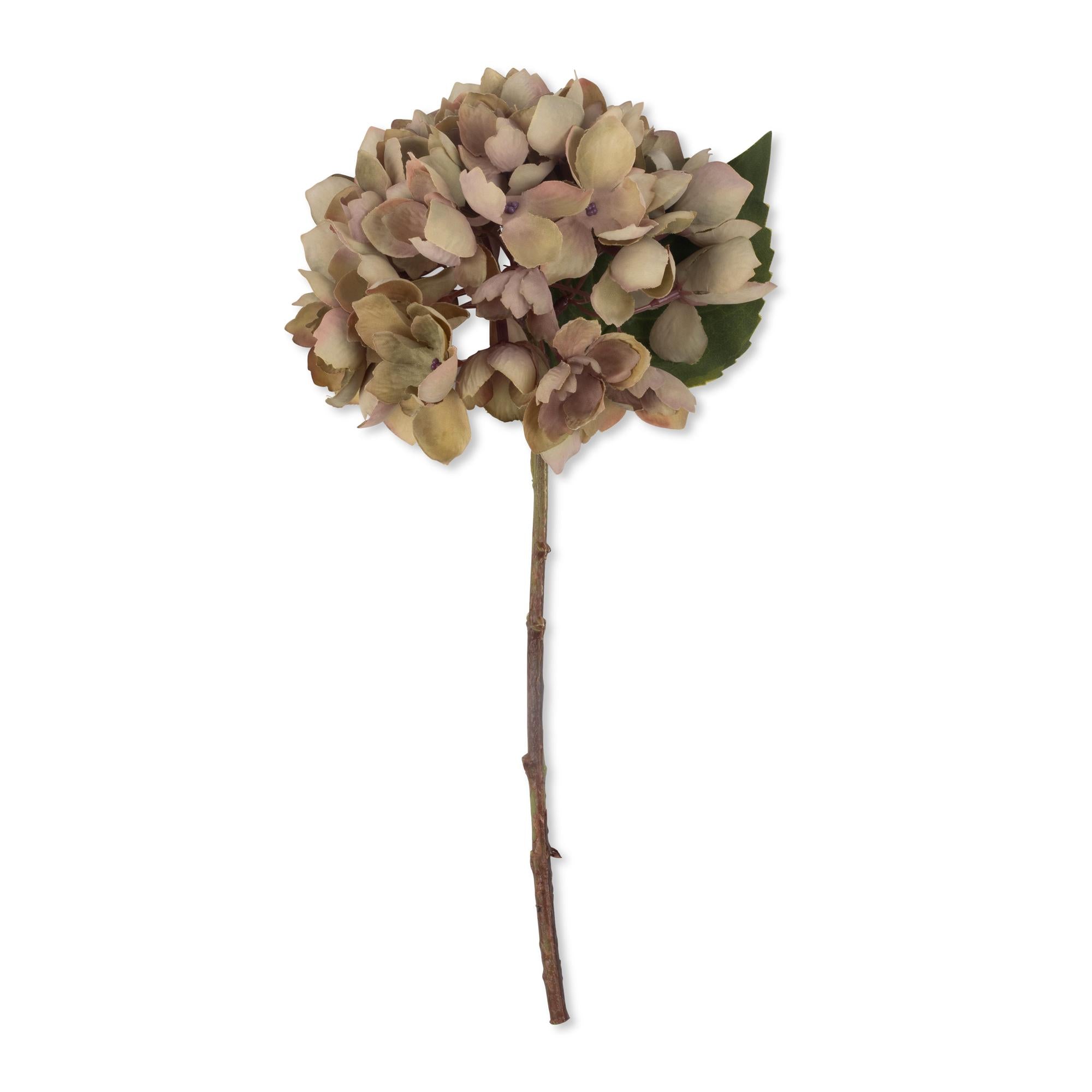 Hydrangea Dusk Stem
