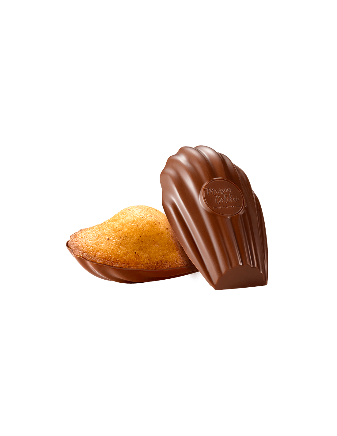Golden hazelnut madeleine resting against its fluted milk chocolate shell stamped with the Maison Colibri seal – Maison Colibri