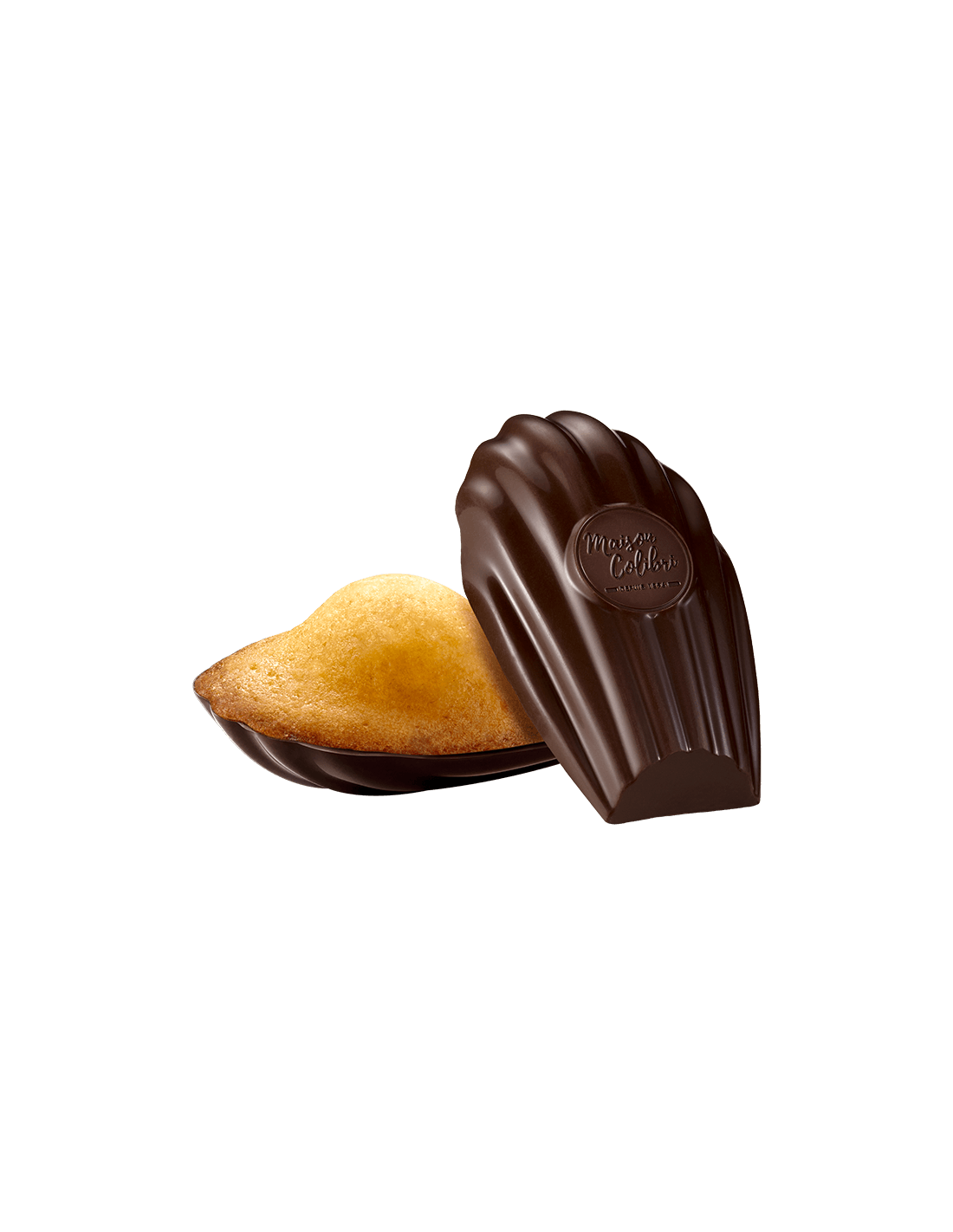 Classic buttery madeleine set in a glossy scalloped dark chocolate shell with embossed logo – Maison Colibri