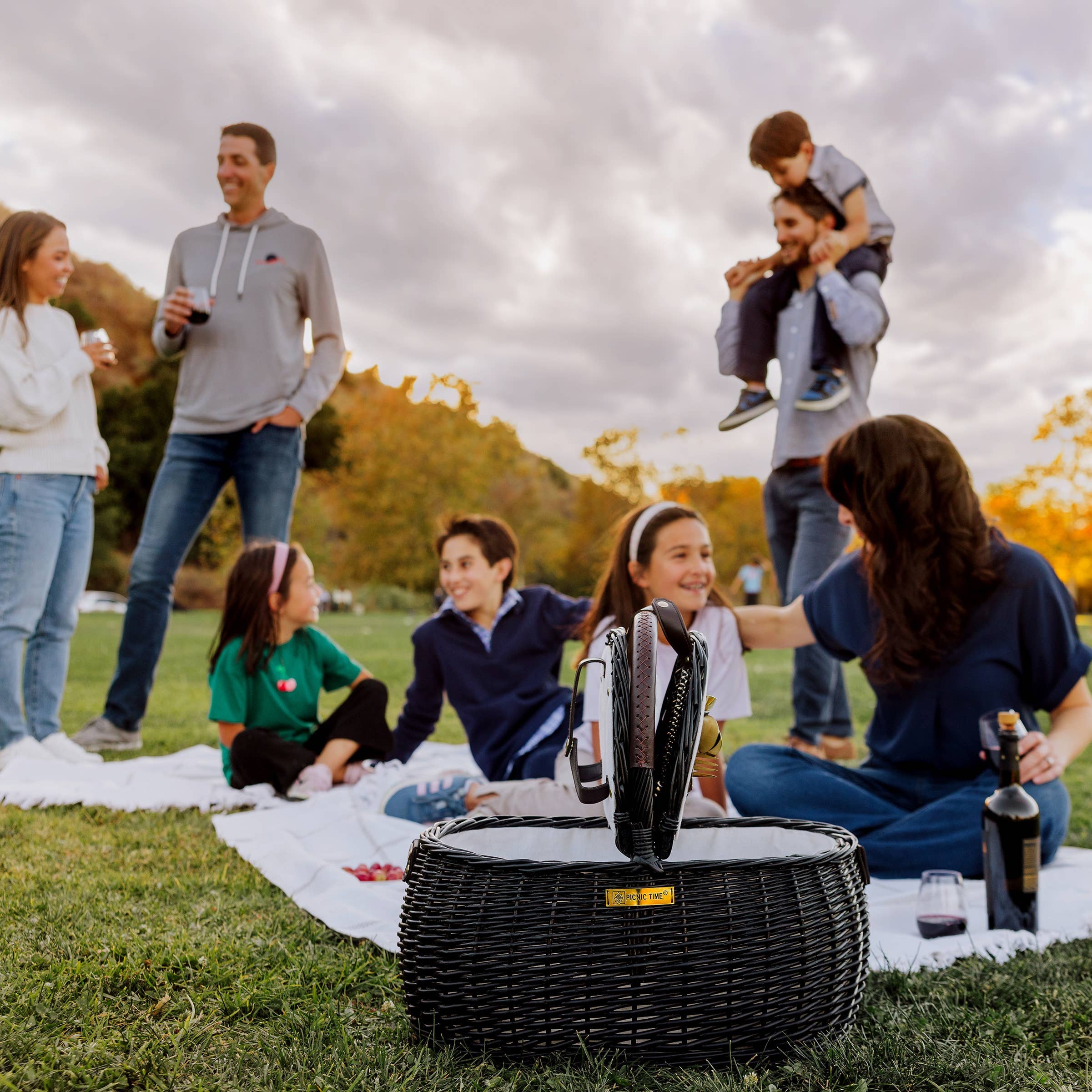 Evening Picnic Basket on a picnic blanket with wine during a family gathering - Picnic Time