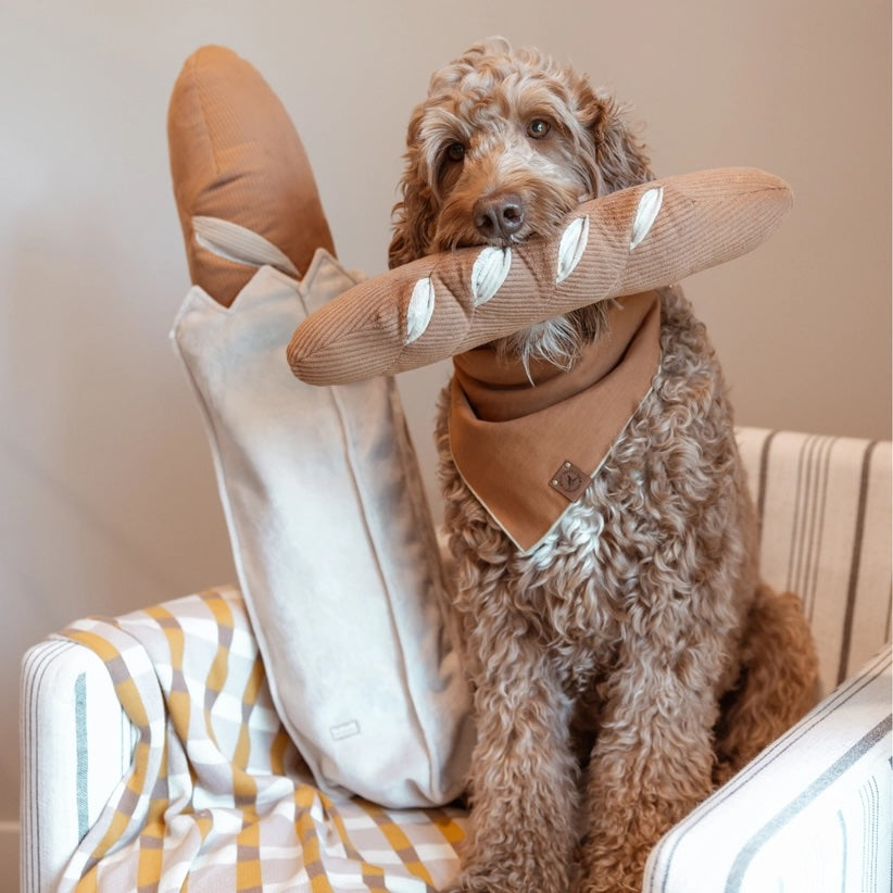 Giant Baguette Enrichment Toy