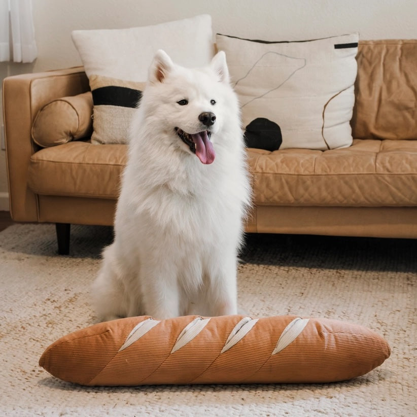 Giant Baguette Enrichment Toy