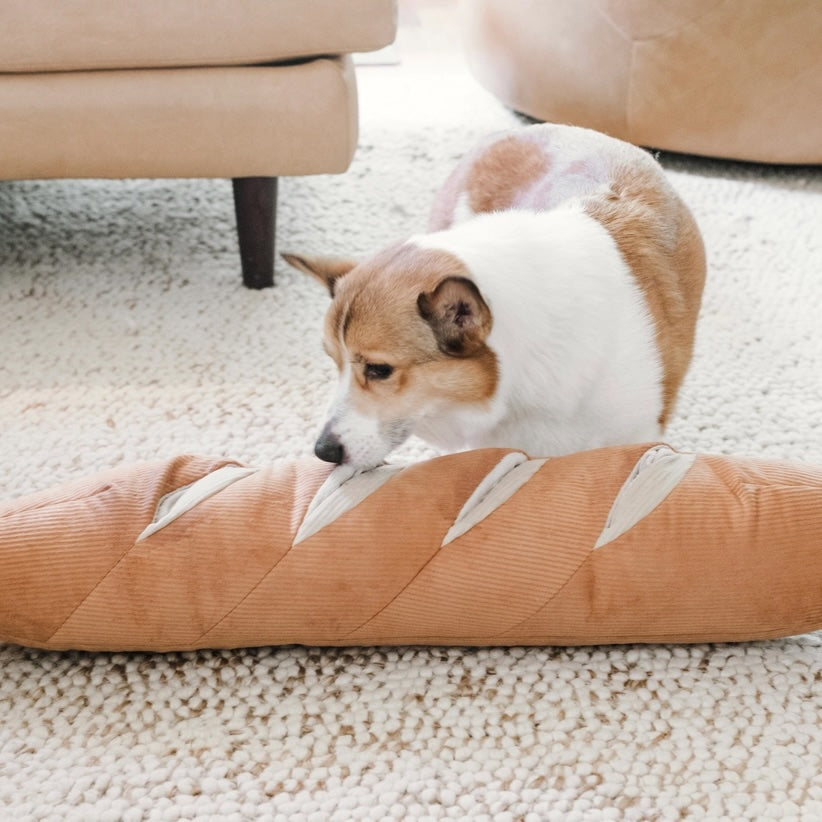Giant Baguette Enrichment Toy