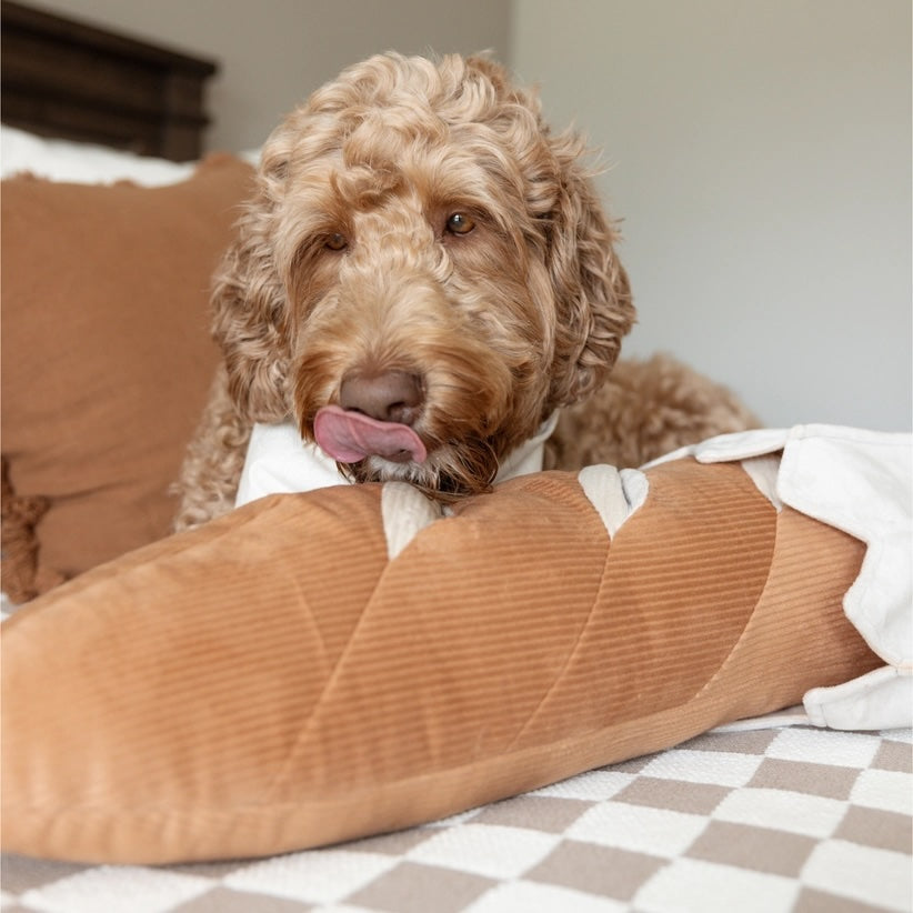 Giant Baguette Enrichment Toy