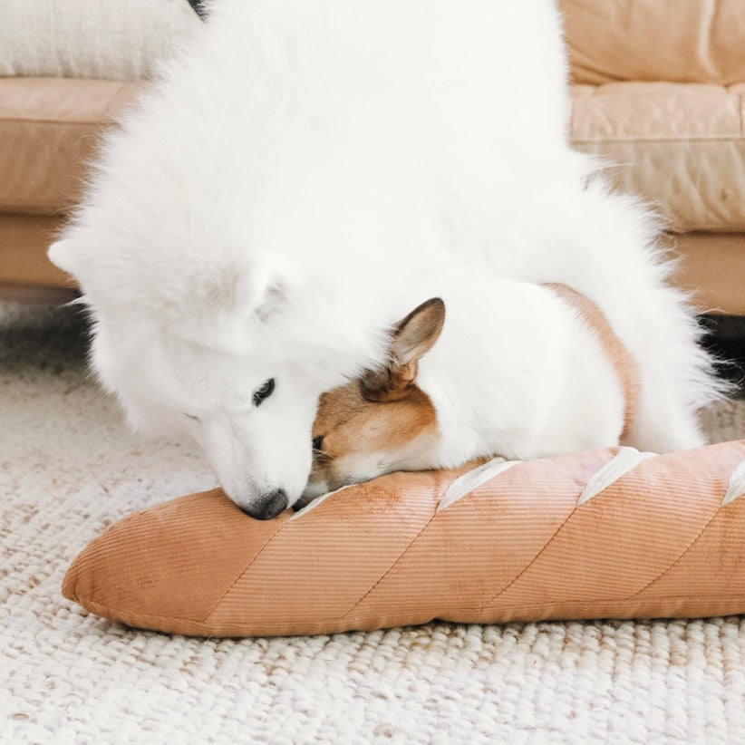 Giant Baguette Enrichment Toy