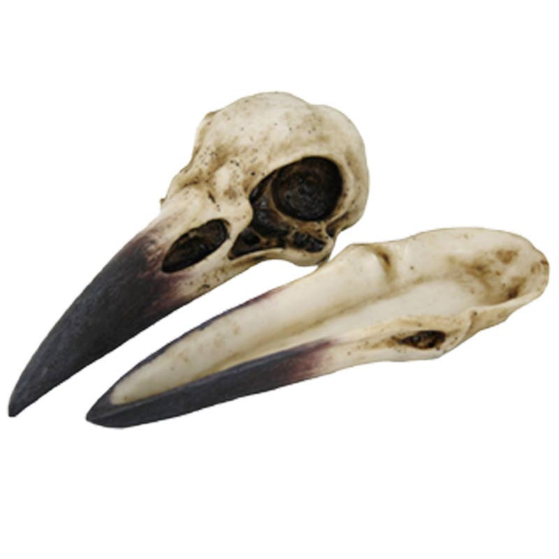 Raven Skull Box – Pacific Trading