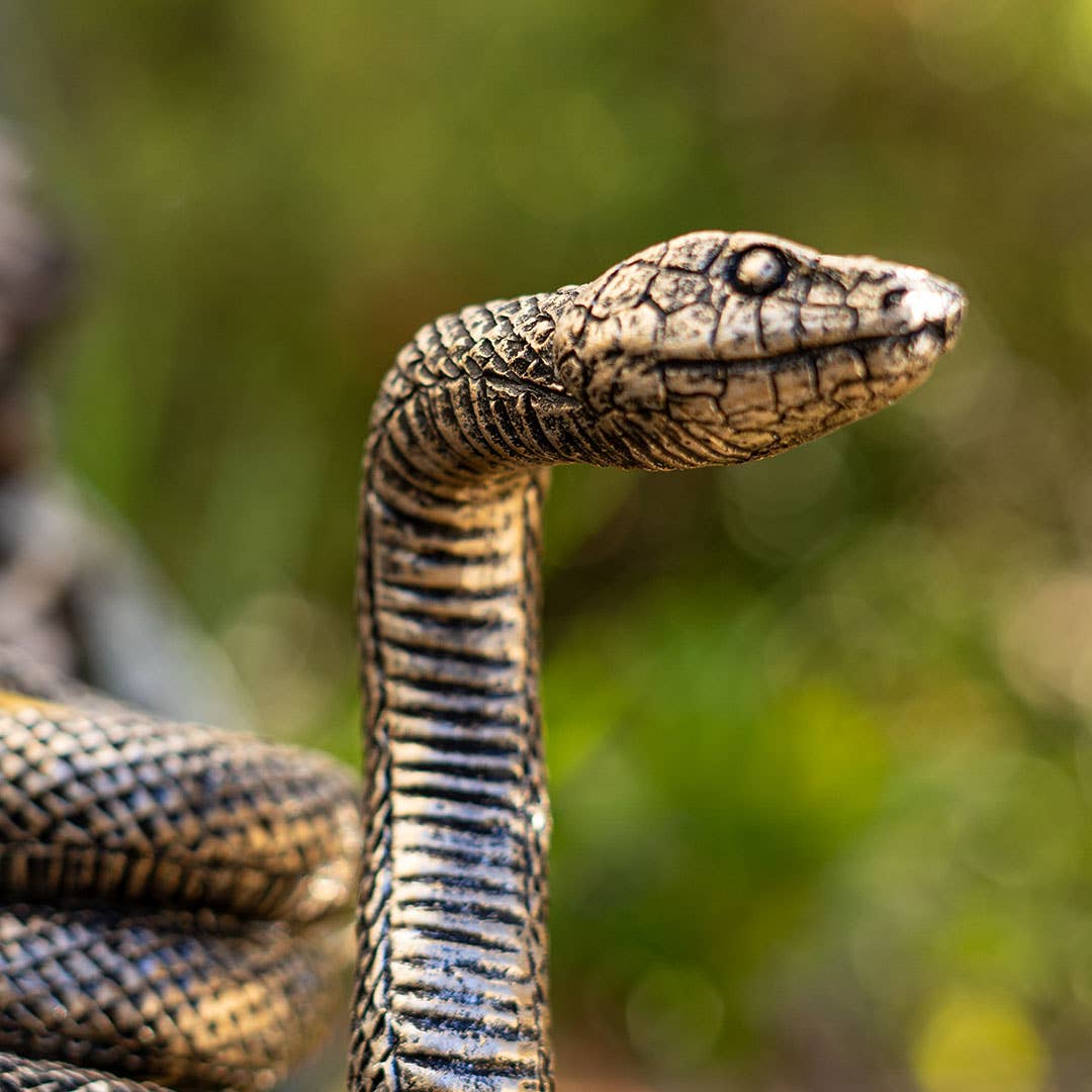 Snake Candle Holder – Pacific Trading