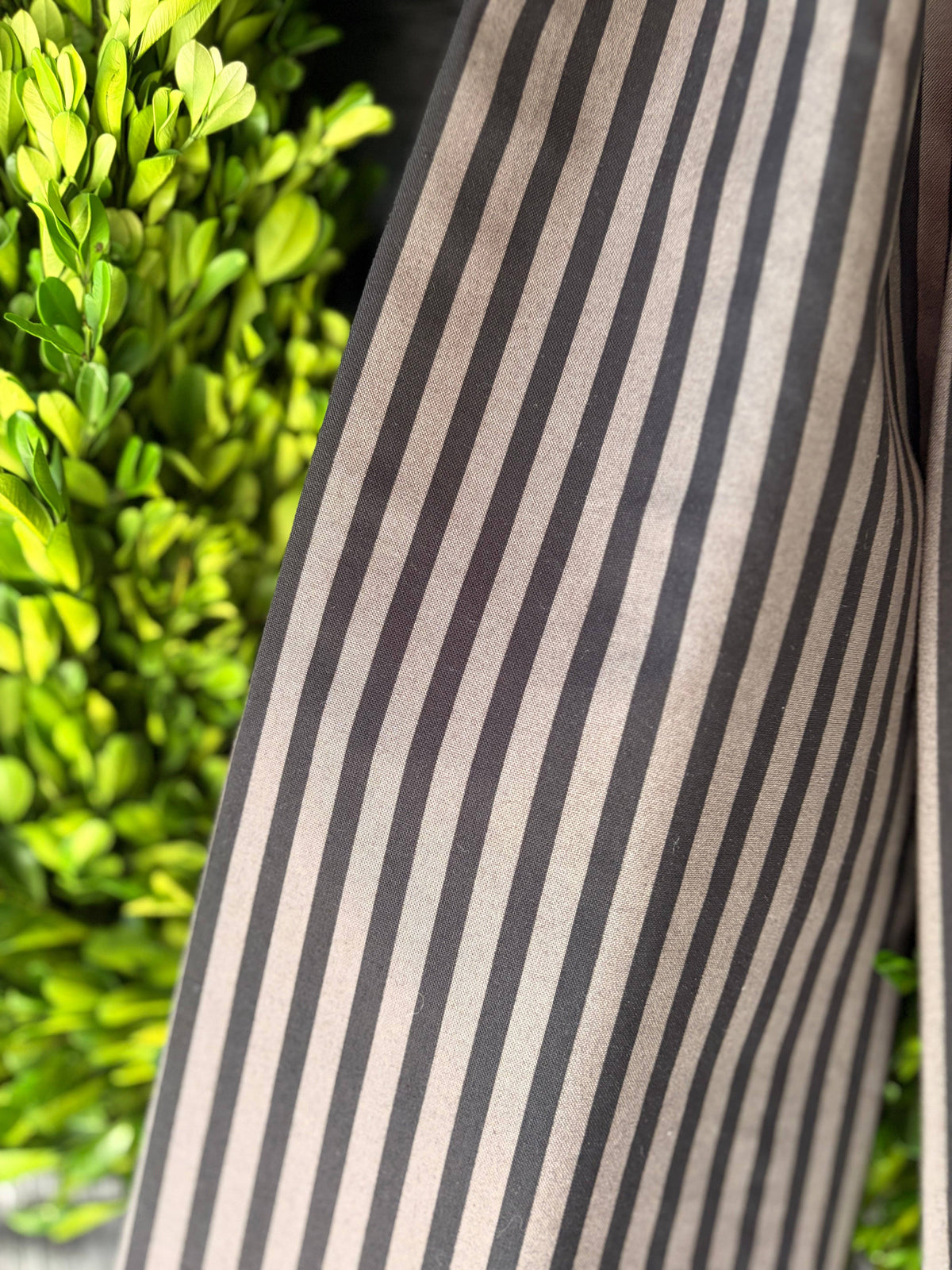 Detail of the bow's charcoal ticking-stripe tail against boxwood leaves – La Maison Reverie
