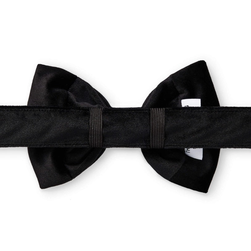 Black bow tie on a white background