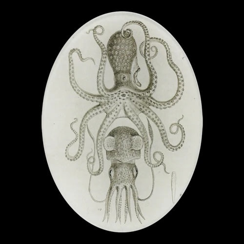 Decorative Oval Plate Small