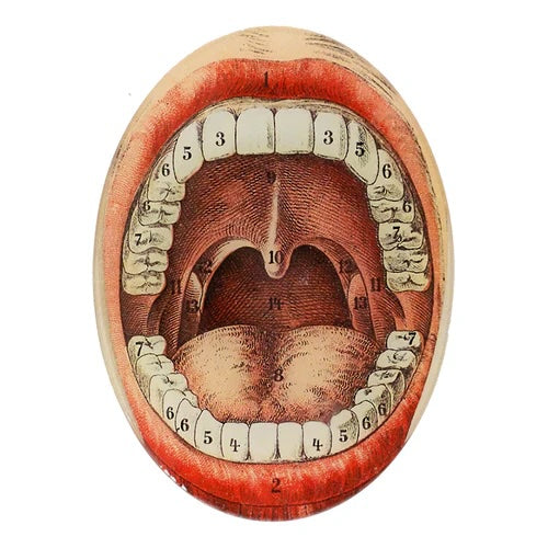 Decorative Oval Plate Small