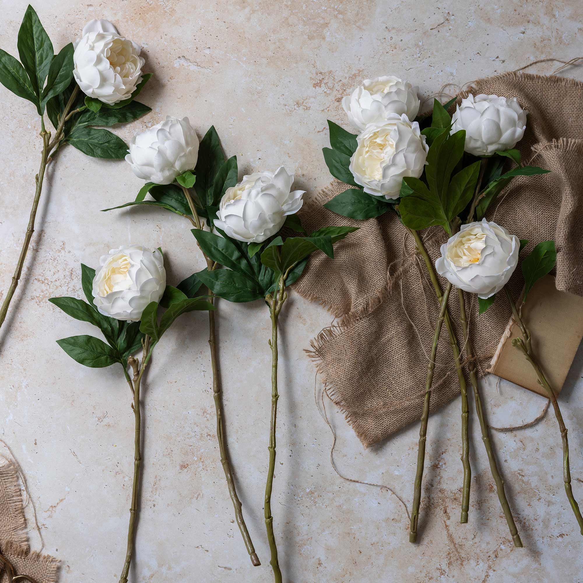 White Peony