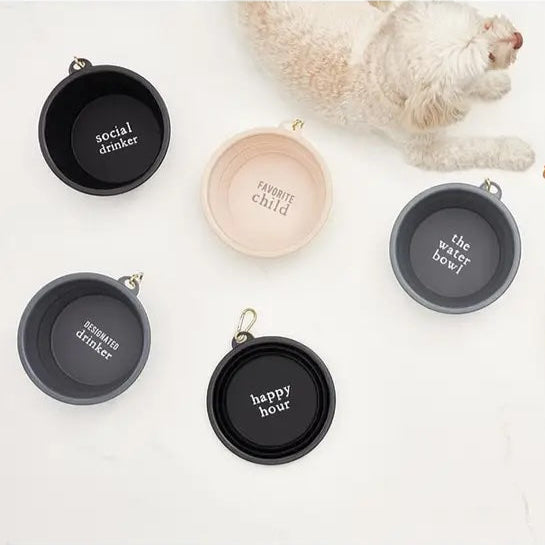 Set of pet bowls with humorous text on a white background