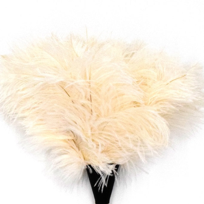 Beige feathered headpiece on a white background