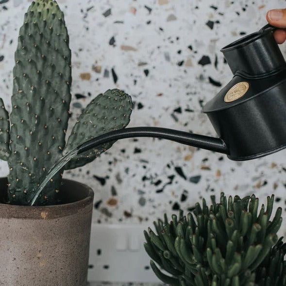 Watering Can - The Fazeley Flow