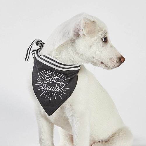 Dog Bandana