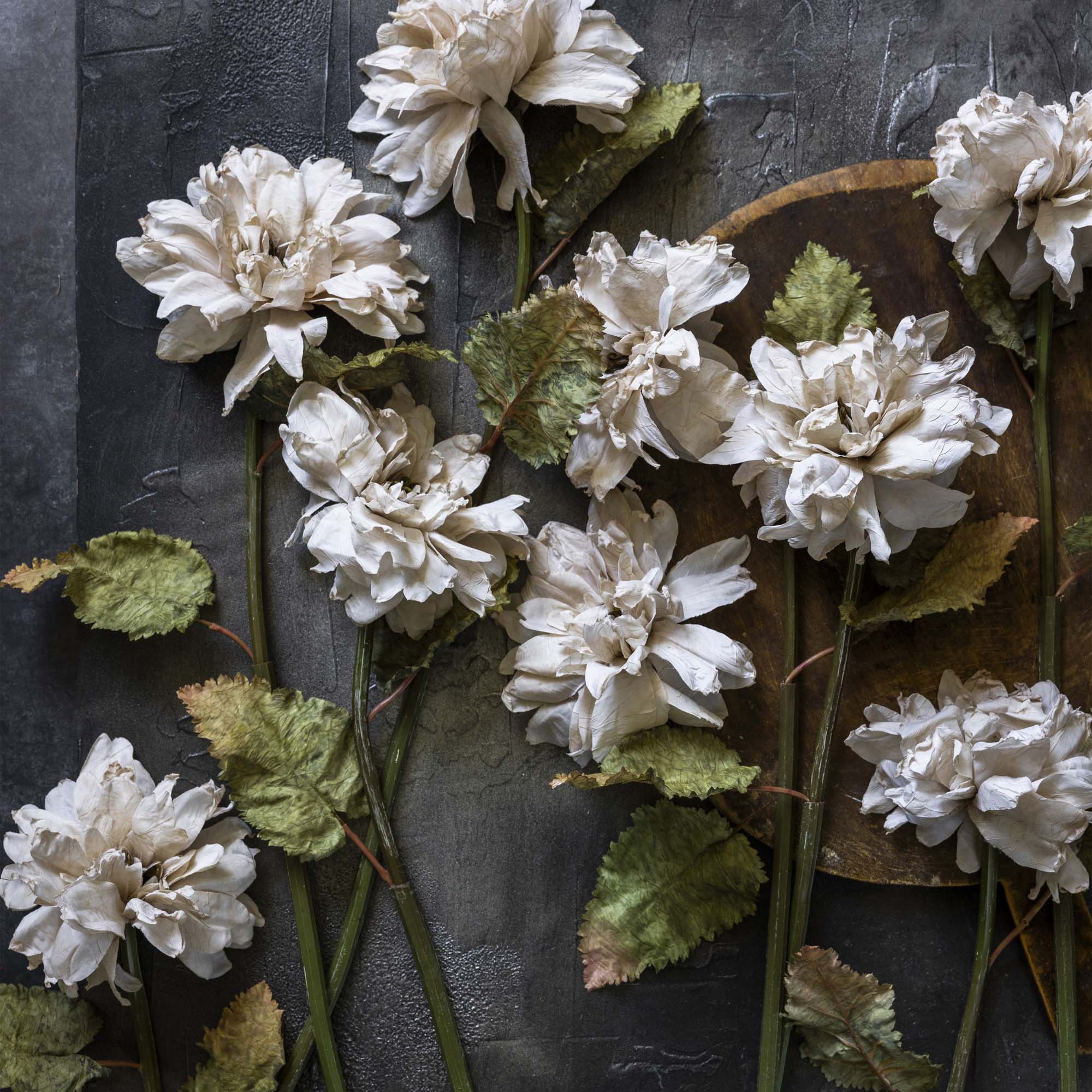 Dahlia Evening Dew - Abigail Ahern | A Stylish Easter Brunch