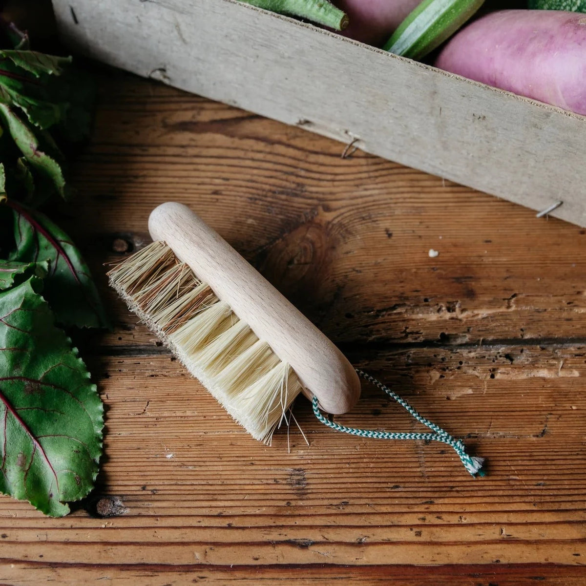 Vegetable Brush with hanger - Andrée Jardin | French Cleaning