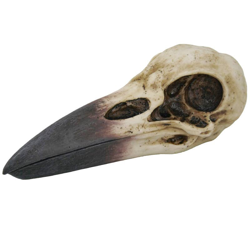 Raven Skull Box – Pacific Trading