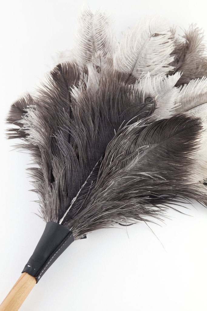 Feather Duster