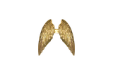 Wings Ex-Voto
