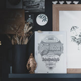 The Insurance Maps