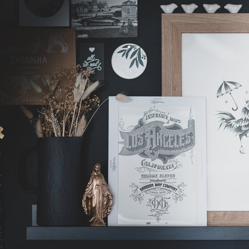 The Insurance Maps